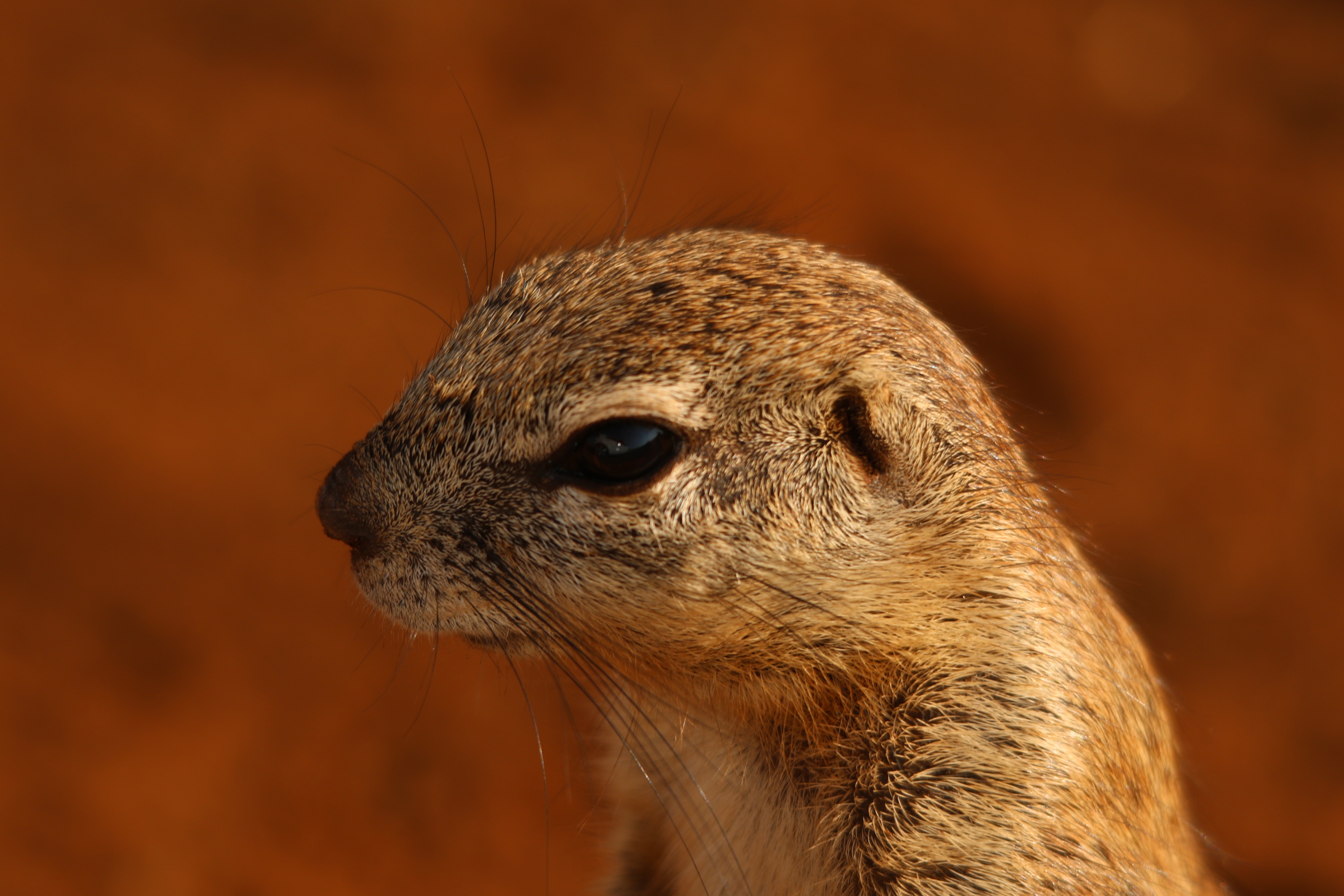 simon-boffen-_dQePhojcgg-unsplash.jpg